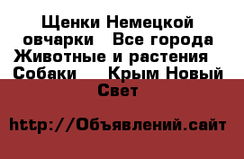 Щенки Немецкой овчарки - Все города Животные и растения » Собаки   . Крым,Новый Свет